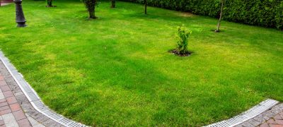 footpath of red paving slabs, curved iron grid drainage system in the backyard, green lawn with small trees and hedge at the background