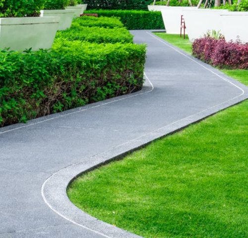 concrete walkway of a garden, with green grass and shrubs